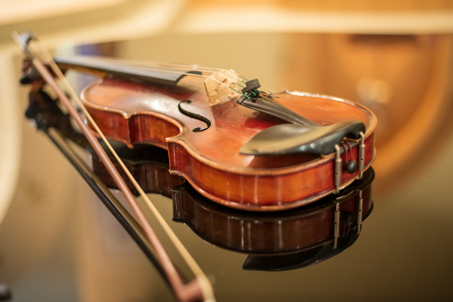 Violino
